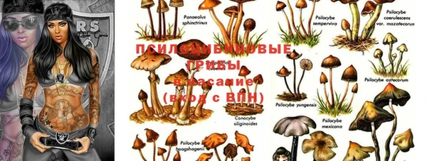 экстази Балахна