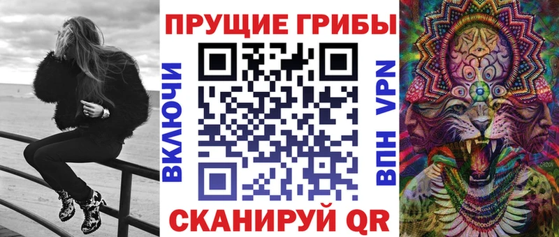Псилоцибиновые грибы Cubensis  OMG сайт  Протвино  купить  